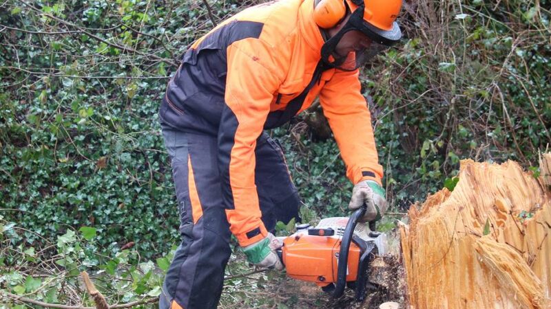 Arbeiten am Fluss weiter nötig: Kettensägen knattern auch im Sommer – Erftverband informiert über Gehölzpflege