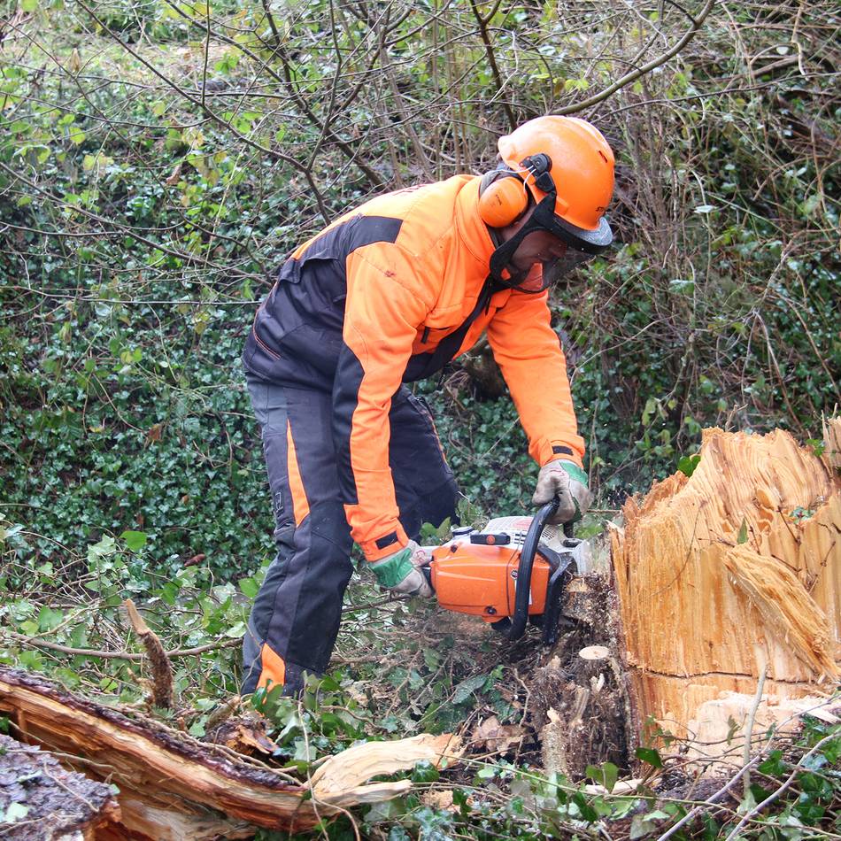 Arbeiten am Fluss weiter nötig: Kettensägen knattern auch im Sommer – Erftverband informiert über Gehölzpflege