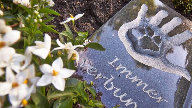 Änderungen auf Grevenbroicher Friedhöfen: Grünes Licht für Mensch-Tier-Bestattungen
