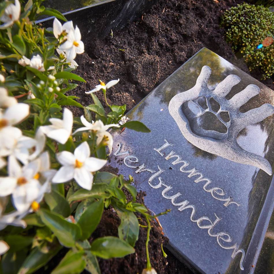 Änderungen auf Grevenbroicher Friedhöfen: Grünes Licht für Mensch-Tier-Bestattungen