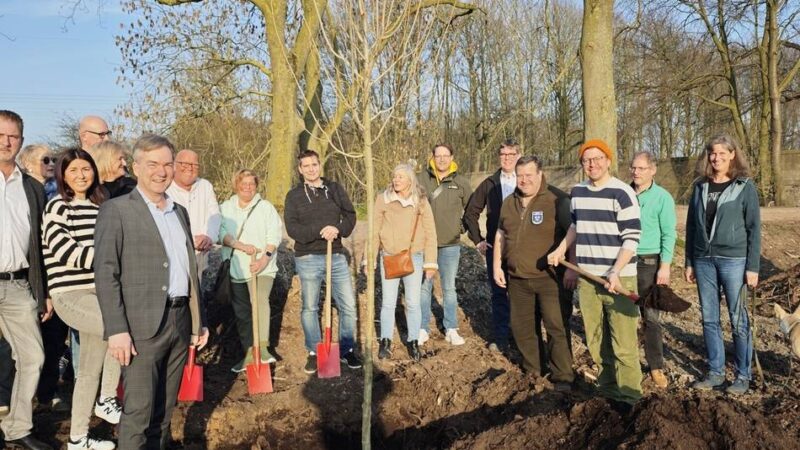 Pflanzaktion am Rader Weg: 27 Schwarzpappeln ersetzen gefällte Altbäume entlang der Niers