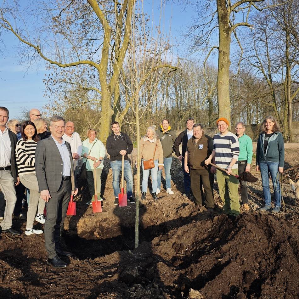 Pflanzaktion am Rader Weg: 27 Schwarzpappeln ersetzen gefällte Altbäume entlang der Niers