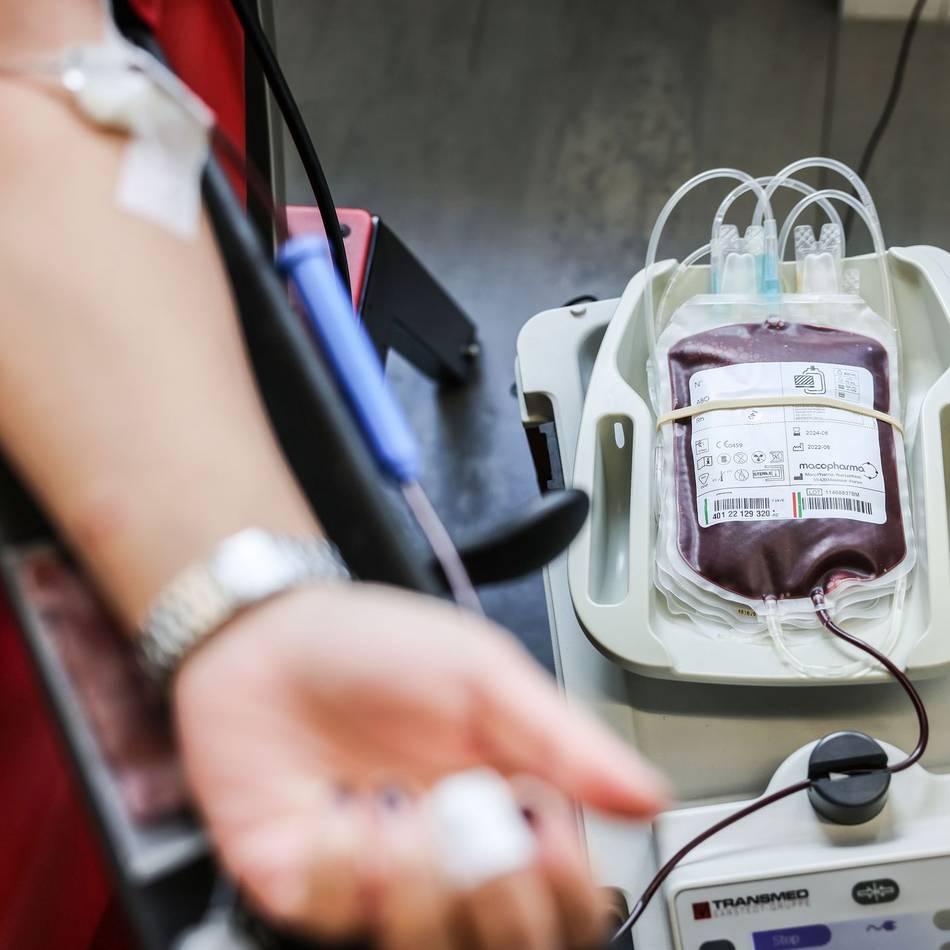 Beim Deutschen Roten Kreuz: Blutspenden in Rheinberg, Borth und Alpsray