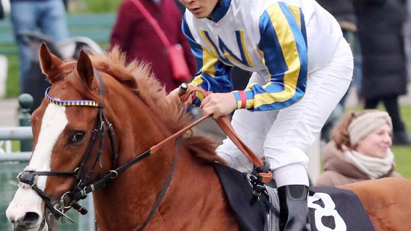 Zwischen Steppe und Ziellinie: Der lange Galopp des Enki Ganbat