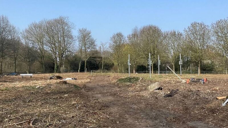 Bürger soll mitreden in Goch: Umfrage zu neuer Spiel- und Freizeitfläche im Stadtpark startet