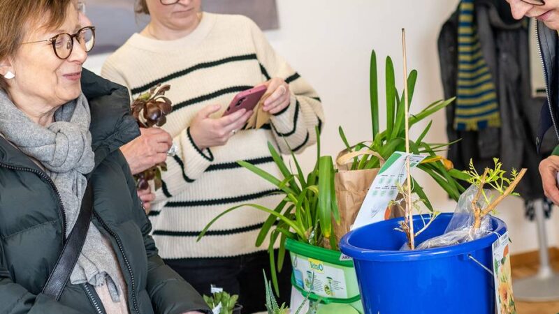 Erste Pflanzentauschbörse im Neusser Romaneum: „Tausche Ziersalbei gegen Ziererdbeere“