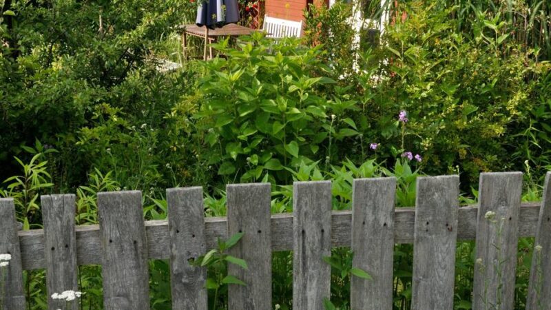 Wettbewerb in Moers: Stadt prämiert naturnahe und artenreiche Gärten