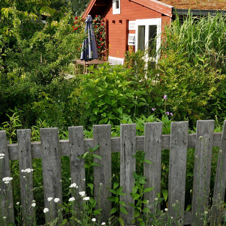 Wettbewerb in Moers: Stadt prämiert naturnahe und artenreiche Gärten