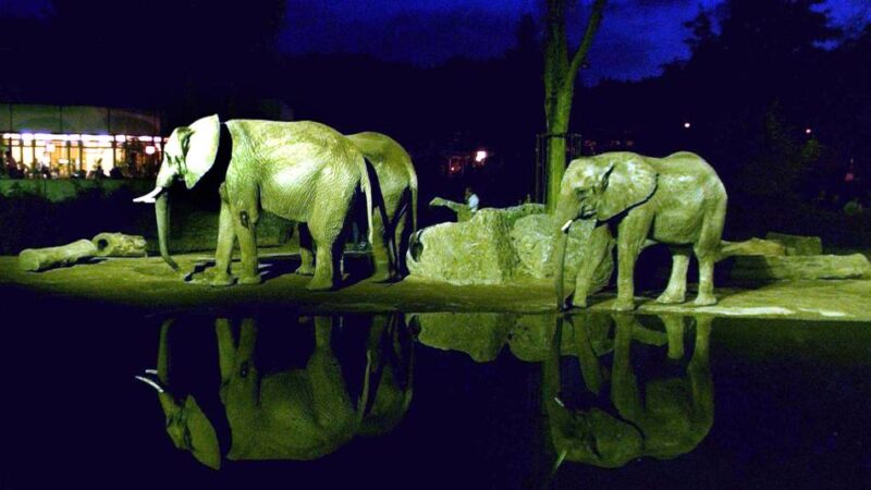 Tipps vom 9. bis 15. März: Abendsafari und Wein – das ist nächste Woche in Duisburg los