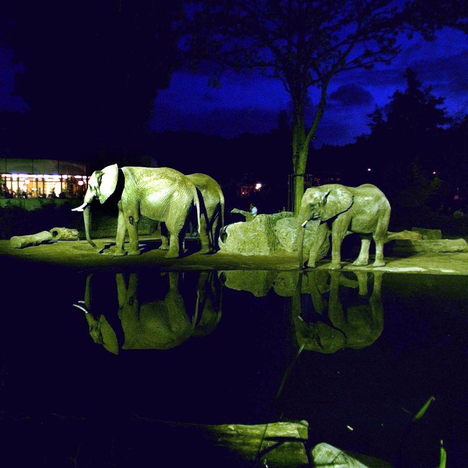 Tipps vom 9. bis 15. März: Abendsafari und Wein – das ist nächste Woche in Duisburg los