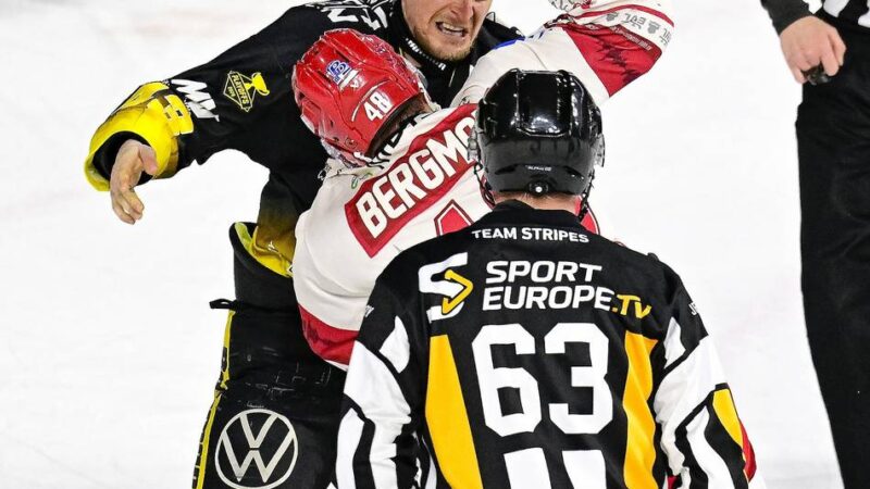 5:2 gegen den EV Landshut: Stockbrüche, Schlägereien, Slapstick-Schiri – Pinguine gewinnen auch Spiel drei