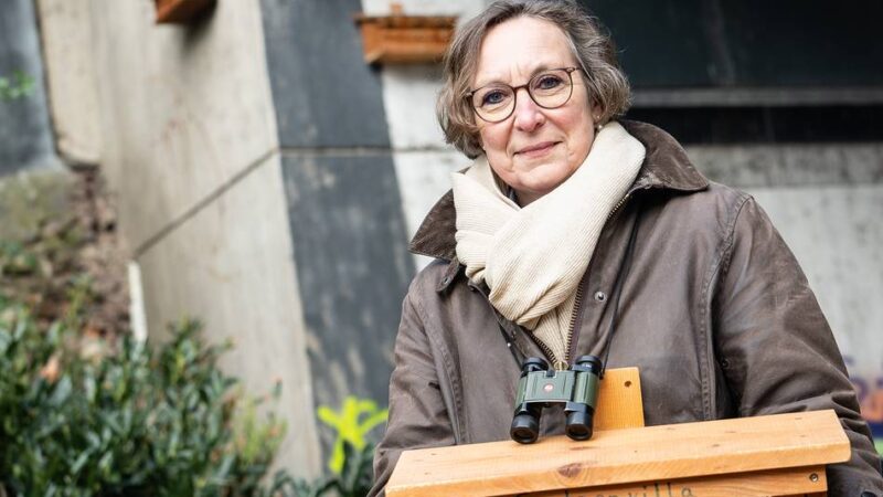 Tierschutz in Düsseldorf: Warum die Spatzen aus Düsseldorf verschwinden – und wie man den Vögeln helfen kann