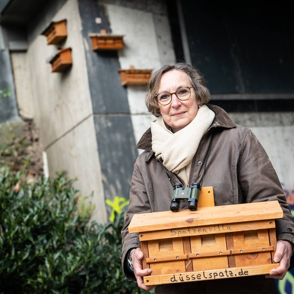 Tierschutz in Düsseldorf: Warum die Spatzen aus Düsseldorf verschwinden – und wie man den Vögeln helfen kann