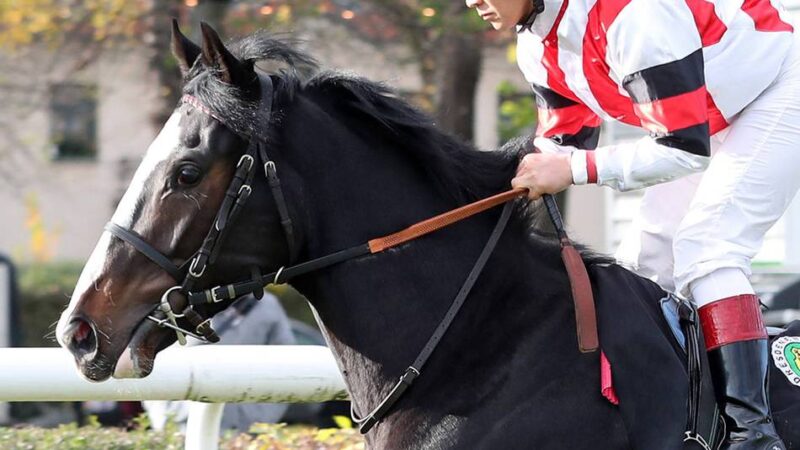 Saisonstart auf dem Grafenberg: Fortuna-Renntag eröffnet das Turf-Jahr
