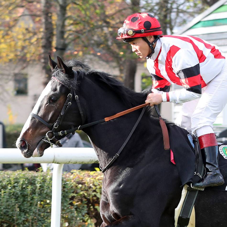 Saisonstart auf dem Grafenberg: Fortuna-Renntag eröffnet das Turf-Jahr