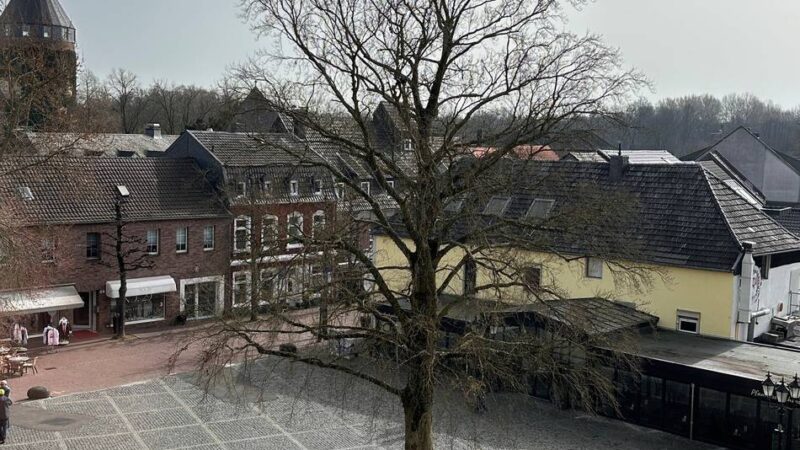 Baumfällung in Brüggen: Blutbuche am Kreuzherrenplatz von Pilz befallen