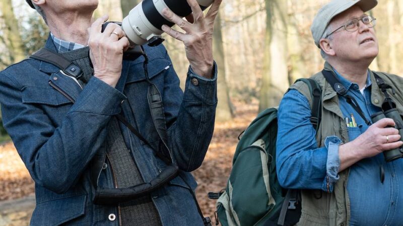 Tipps von Neusser Ornithologen: So klappt es mit der Vogelbestimmung