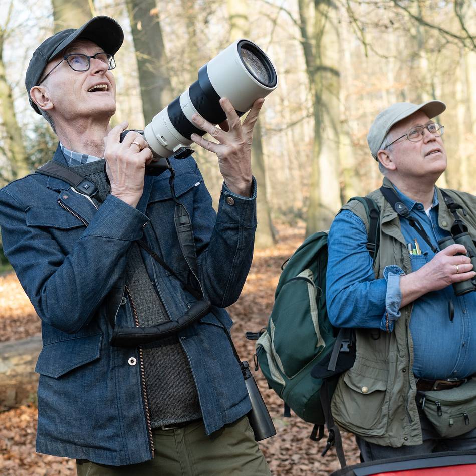 Tipps von Neusser Ornithologen: So klappt es mit der Vogelbestimmung
