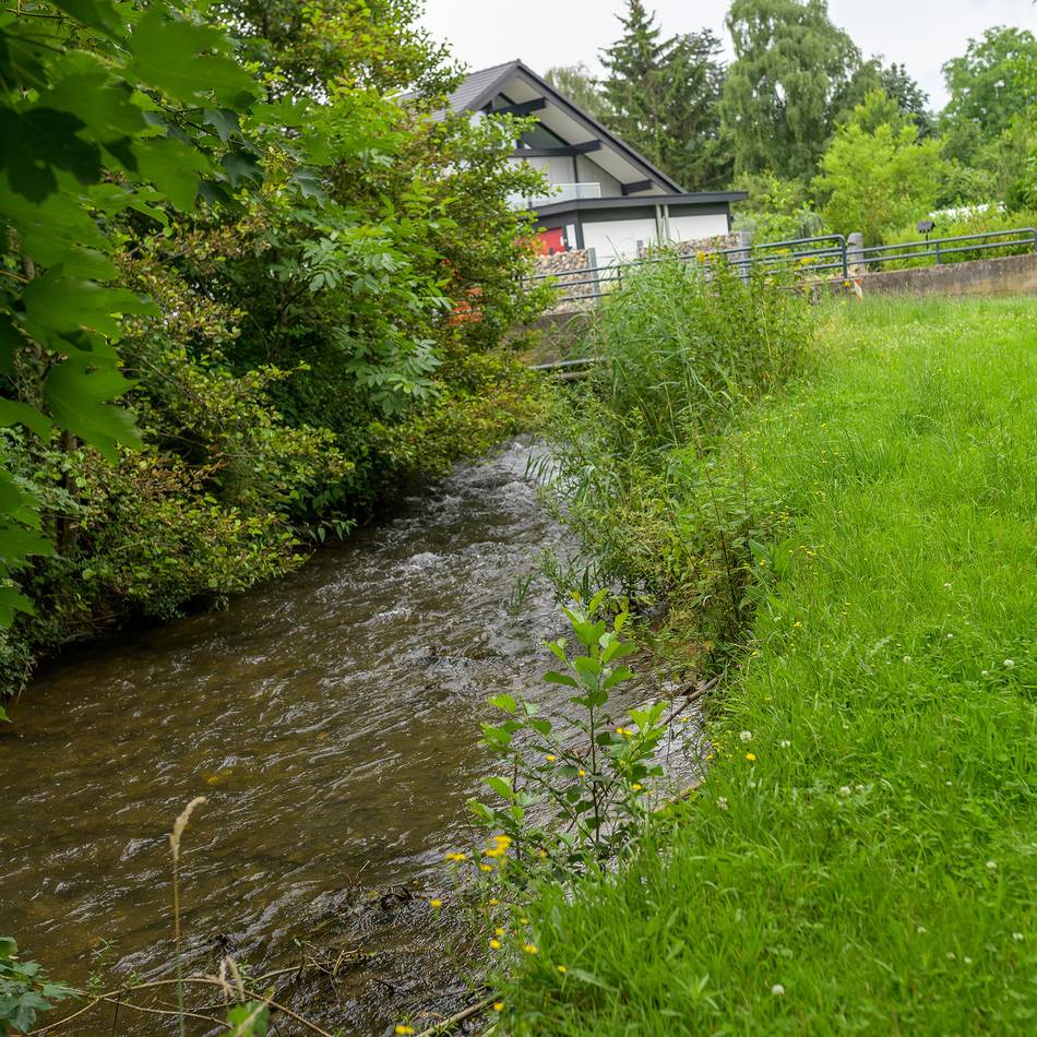 Kampf um Erhalt des Gillbachs: Ausschuss zitiert Erftverband und RWE nach Rommerskirchen