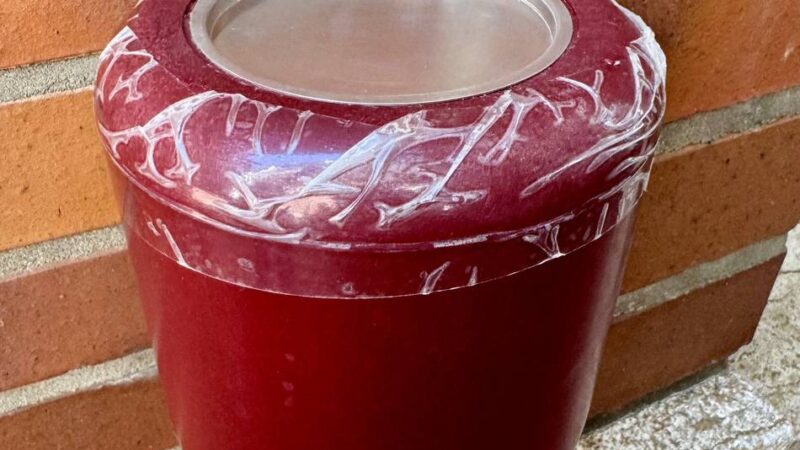 Nach mysteriösem Fund am Rhein: In Neuss gefundene Urne ist in der Gerichtsmedizin