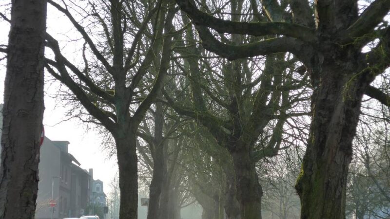 Rheinberg beschließt den Haushalt 2026: Die Stadt muss weiterhin sparen