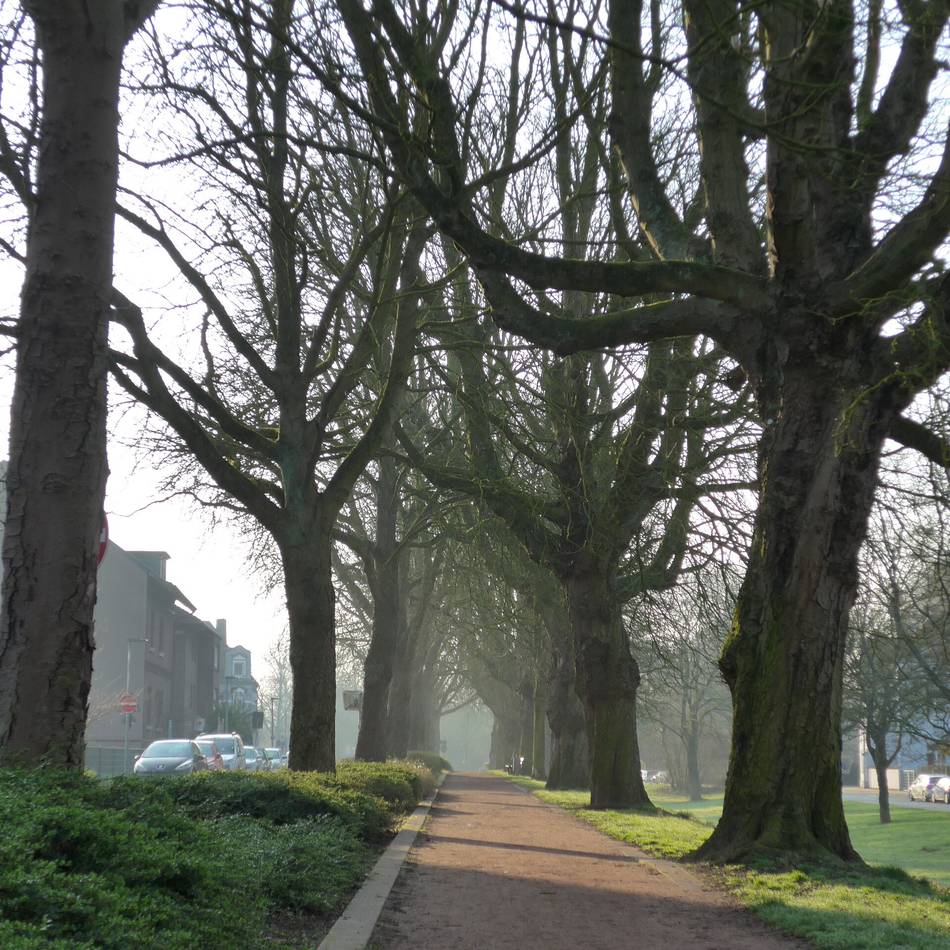 Rheinberg beschließt den Haushalt 2026: Die Stadt muss weiterhin sparen