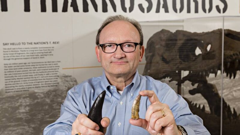 International renommierter Paläontologe: Mönchengladbacher Dinoforscher überraschend gestorben