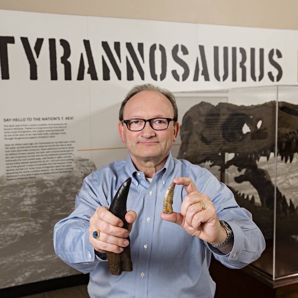 International renommierter Paläontologe: Mönchengladbacher Dinoforscher überraschend gestorben