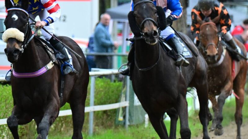 Oster-Renntag am 5. April: Warum der Reitverein Sonsbeck auf Galopprennen verzichtet