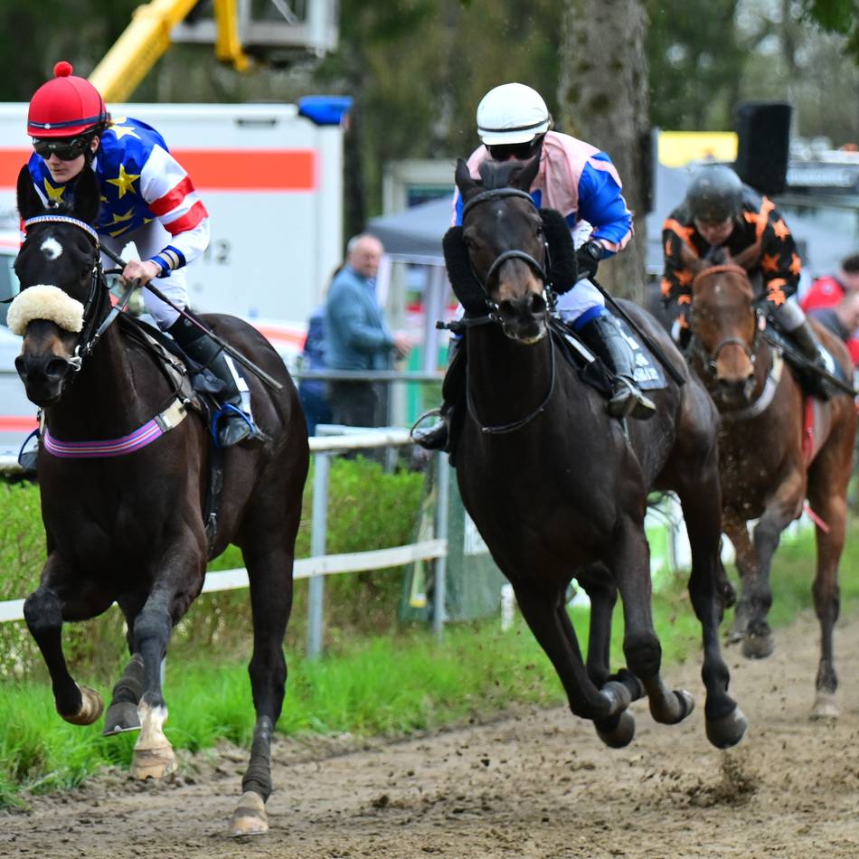Oster-Renntag am 5. April: Warum der Reitverein Sonsbeck auf Galopprennen verzichtet