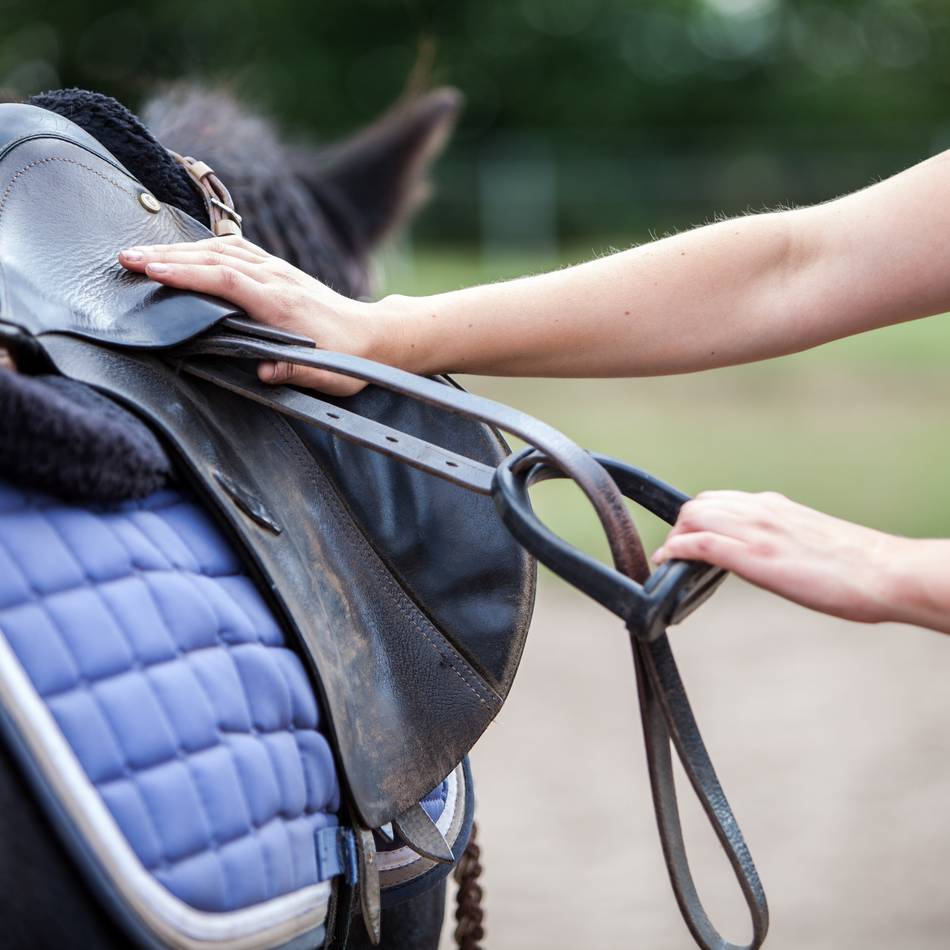 Reitsport-Event in Issum: Escape Horse Hall fordert Reiter und Teams mit spannendem Parcours heraus