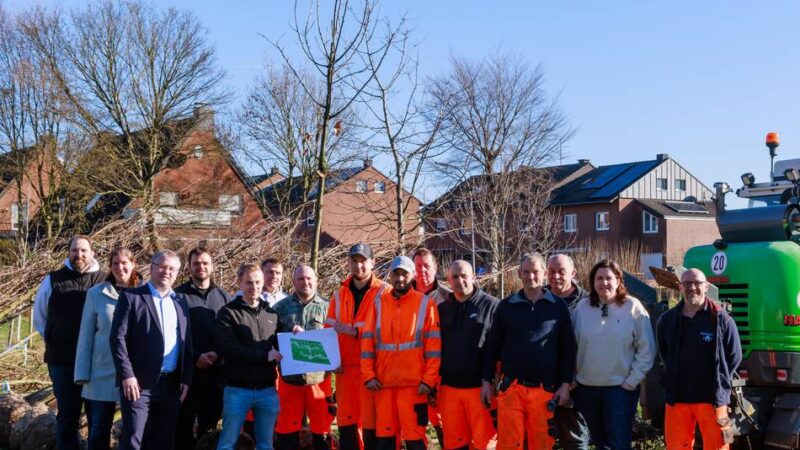 Pflanzungen in Hochneukirch: Neue Bäume sorgen für Irritationen