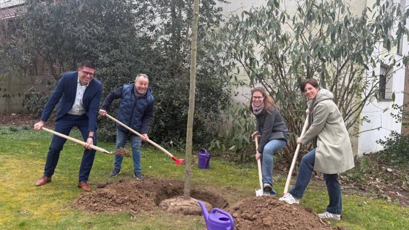 Engagement vor Ort: Zwei Amberbäume für ein grüneres Granterath