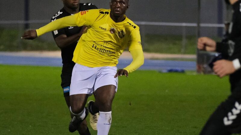 Topspiel am Freitagabend: Ratingen 04/19 muss den Fokus auf sich selbst behalten