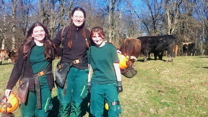 Eiszeitliches Wildgehege in Mettmann: Kreis sucht junge Freiwillige für Arbeit im Wildgehege