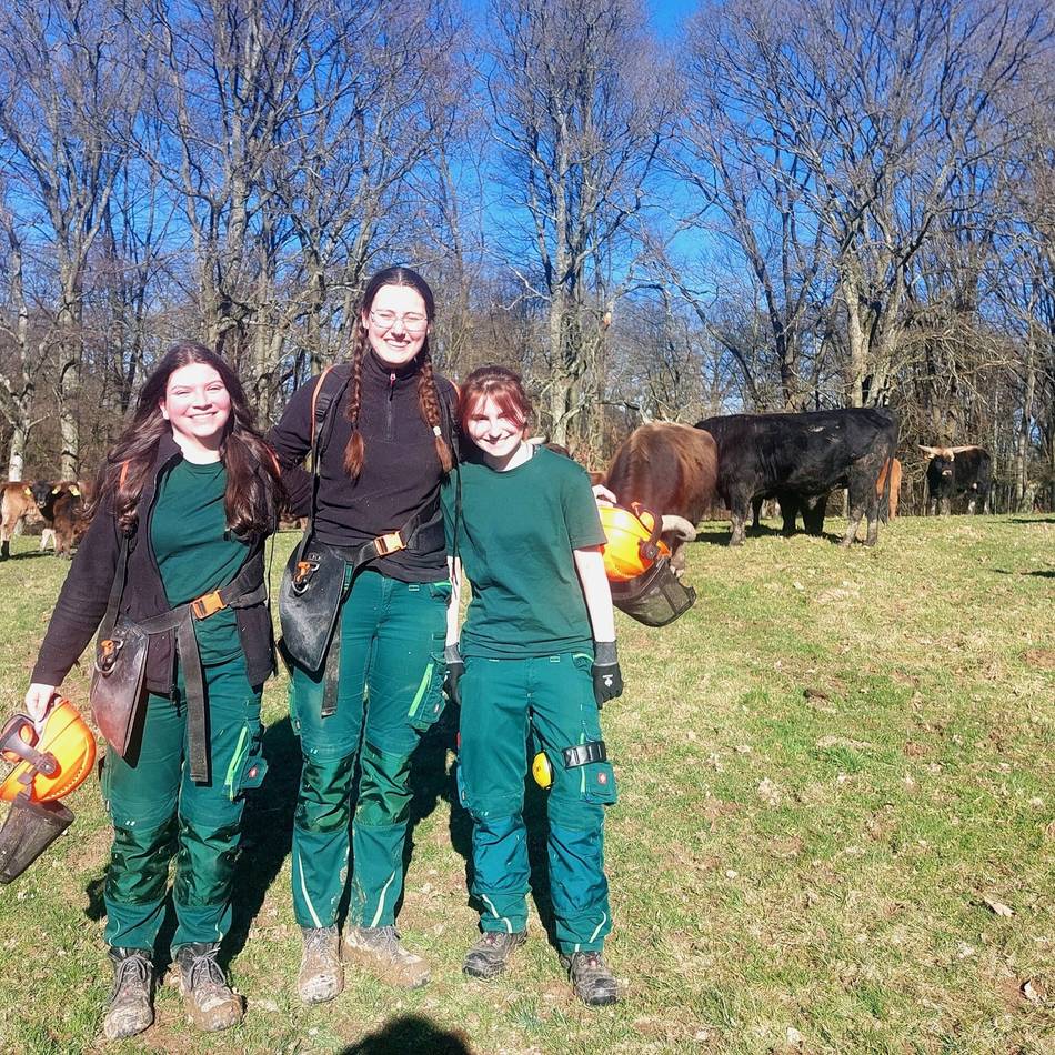 Eiszeitliches Wildgehege in Mettmann: Kreis sucht junge Freiwillige für Arbeit im Wildgehege