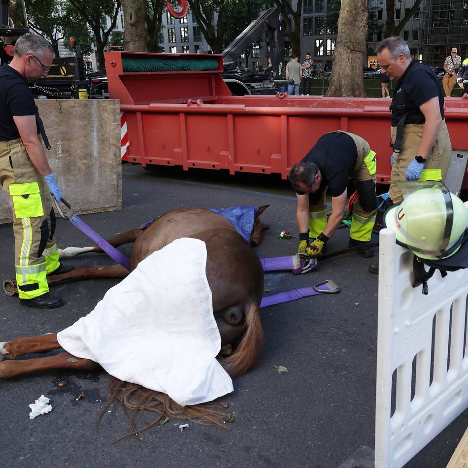 Verstoß gegen das Tierschutzgesetz: Pferd starb bei Schützenumzug auf der Kö – Reitstallbesitzer vor Gericht