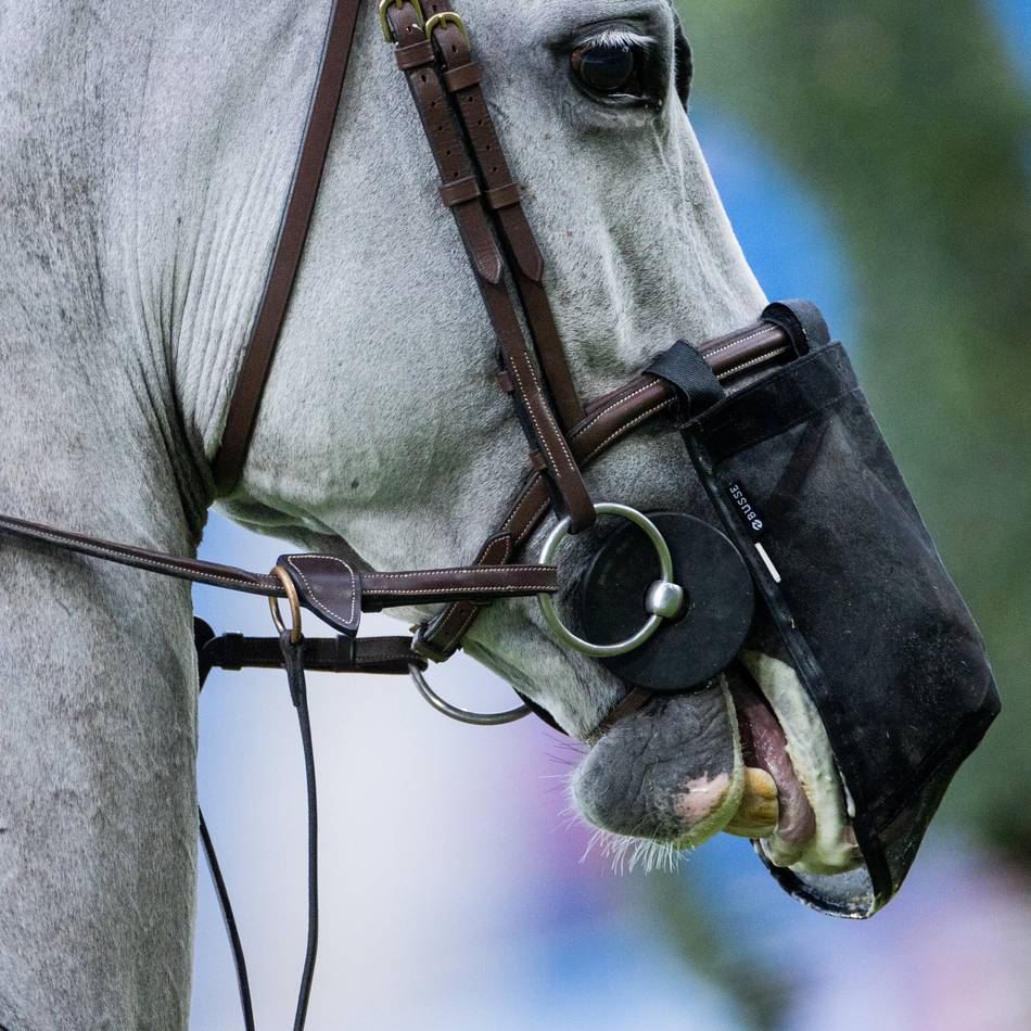 Reitsport am Niederrhein: Nachwuchsturnier in Asperden-Kessel rückt junge Talente in den Fokus