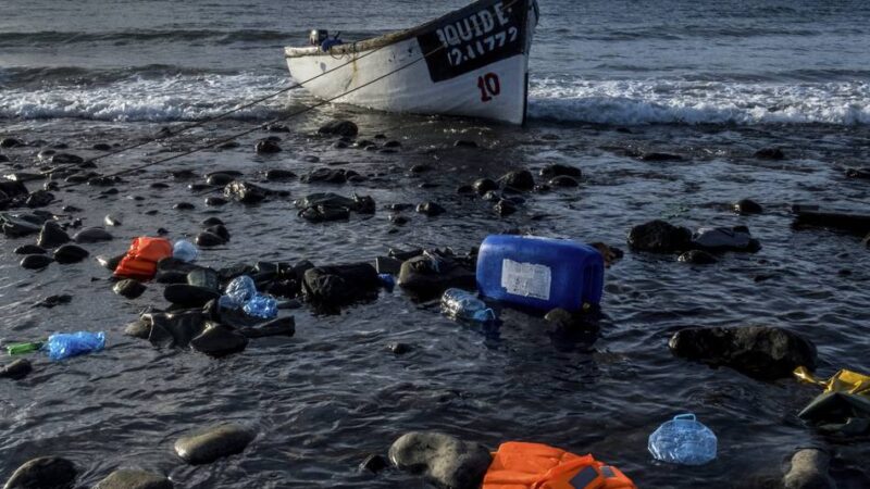 Ausstellung in Leverkusen:  „Faszination Meer“ – wie die Ozeane geschützt werden können