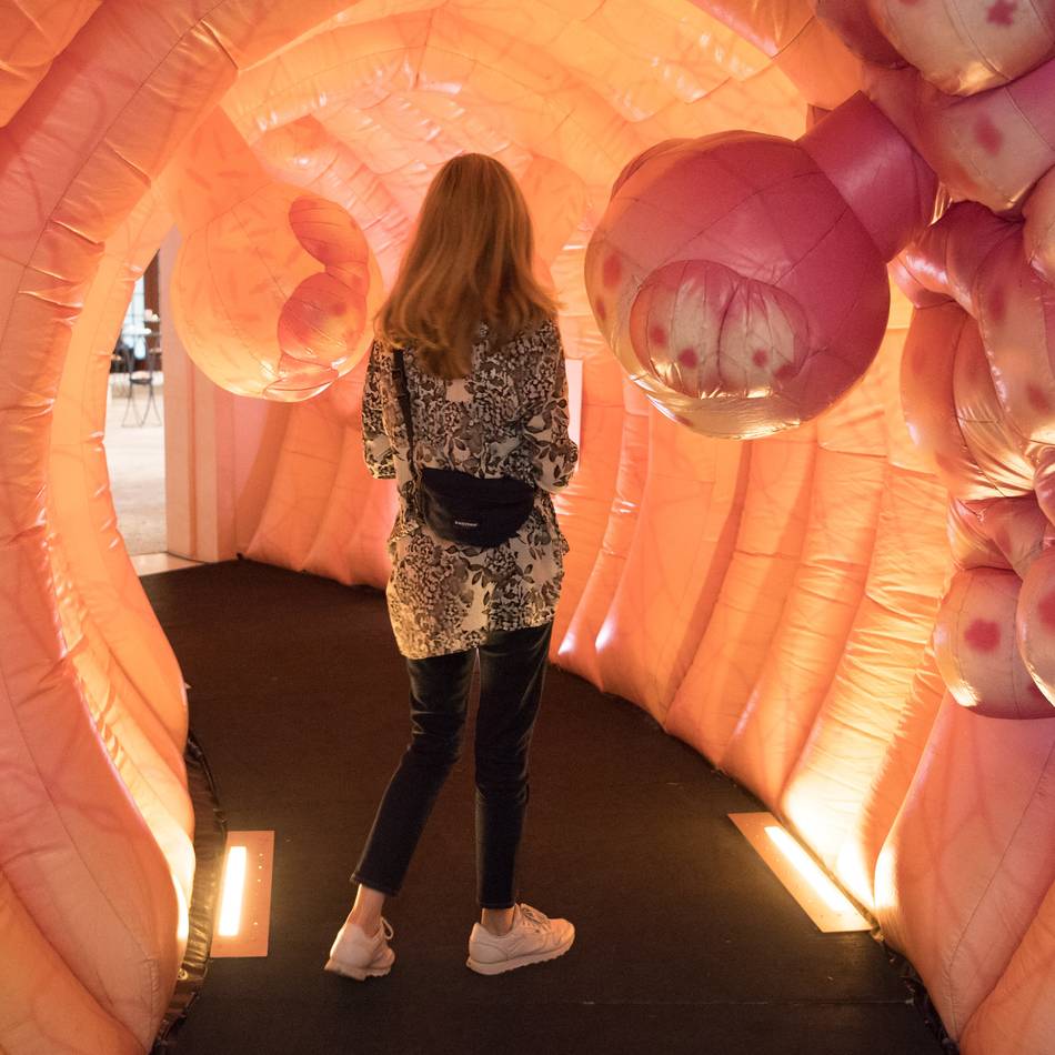 Interview zu Darmkrebstherapien: „Bei der Darmspiegelung können mögliche Polypen direkt entfernt werden“