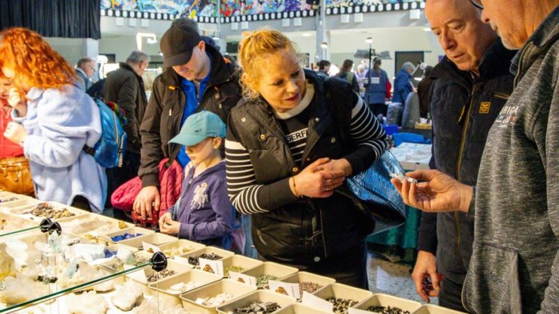 Mineralien- und Fossilienbörse in Erkelenz: Vom „kleinen Steinchen“ zur großen Leidenschaft