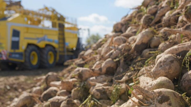 Veranstaltung in Kalkar: Lage der Landwirtschaft im Fokus beim Agrar-Forum