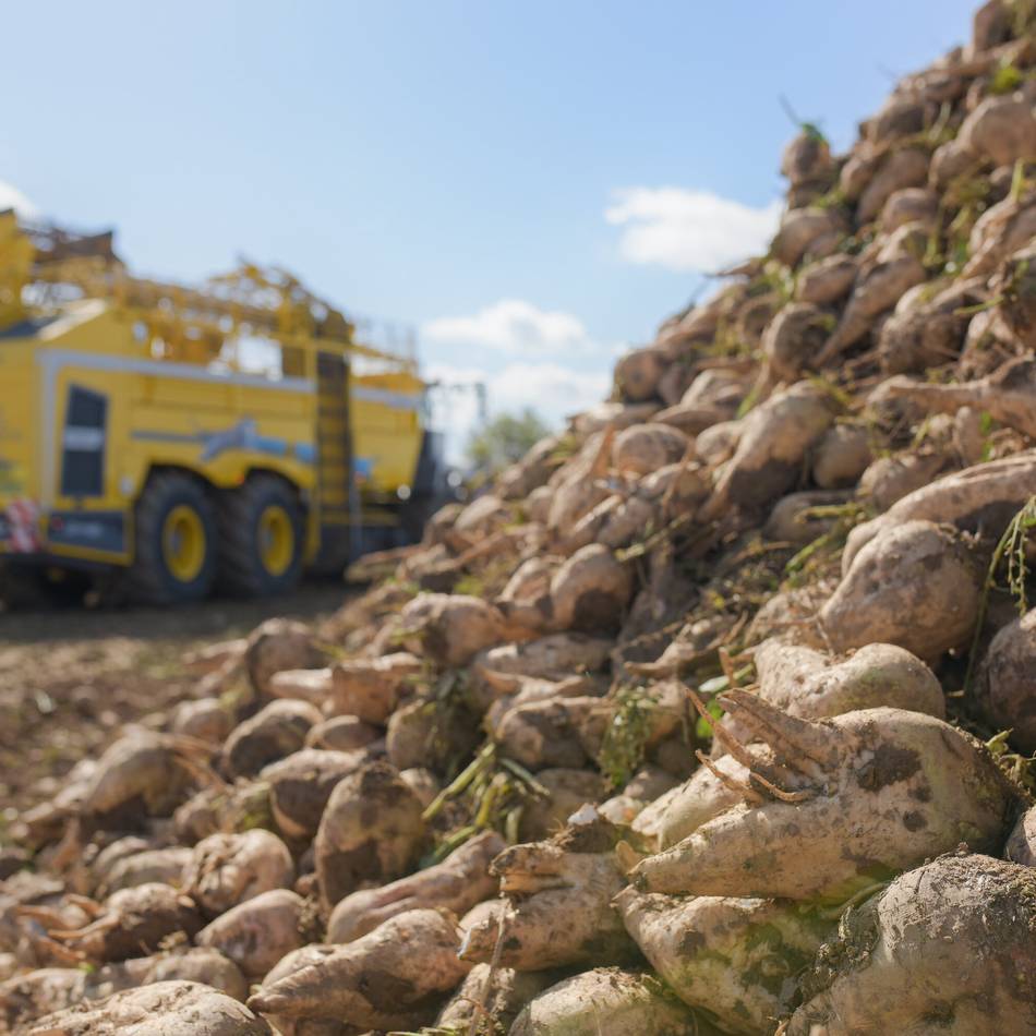Veranstaltung in Kalkar: Lage der Landwirtschaft im Fokus beim Agrar-Forum