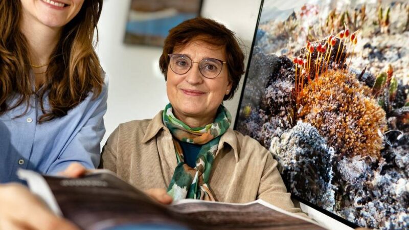 Stadtmuseum Langenfeld: Arktis-Fotos zeigen eine erstaunliche Artenvielfalt