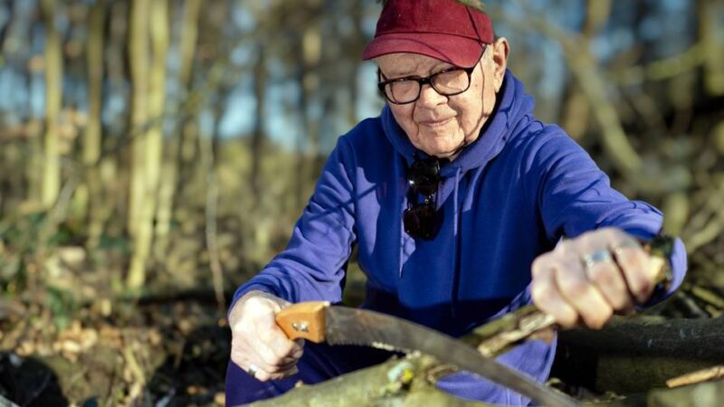 Bergische Landstraße in Langenfeld: Gefällte Roteichen versperren Wanderpfad