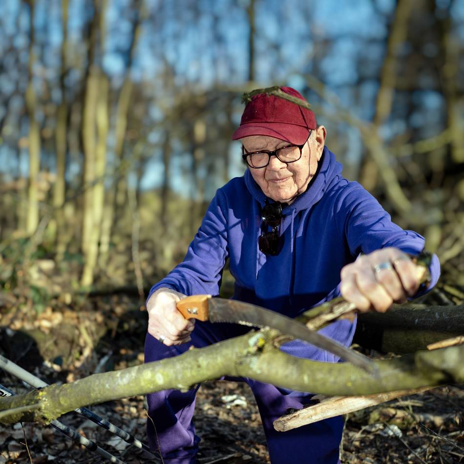 Bergische Landstraße in Langenfeld: Gefällte Roteichen versperren Wanderpfad