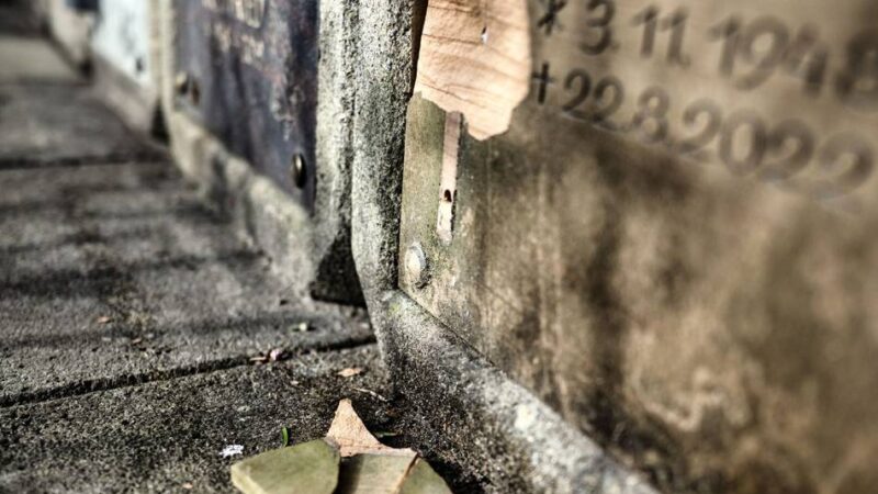 Diebstahl in Monheim: Verdächtige nach Verwüstung auf Waldfriedhof wieder auf freiem Fuß