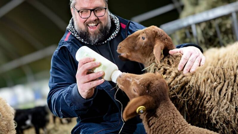 Monheim: Marienhof bietet Tierpatenschaften an