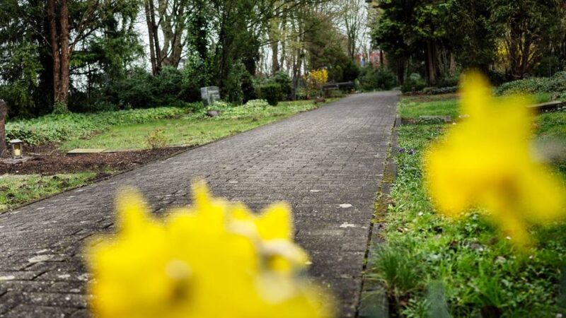 BdSt äußert Verdacht der Untreue in Monheim: Friedhofs-Deal wird zum Millionengrab