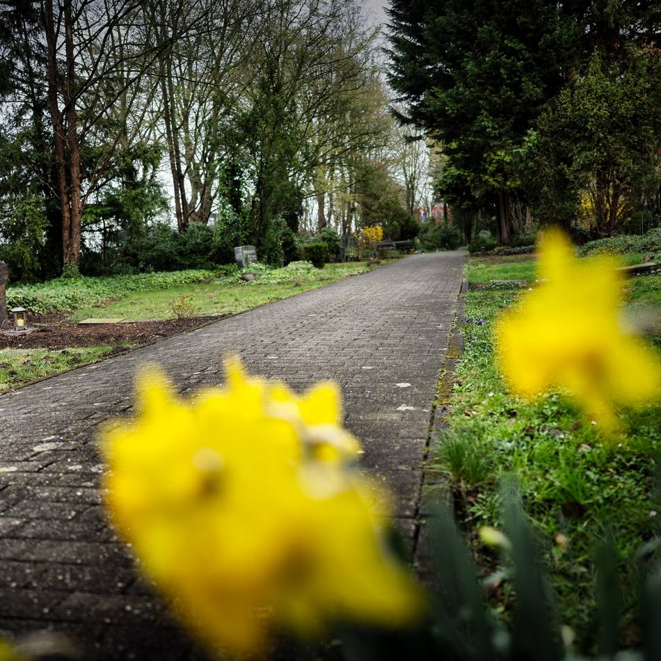 BdSt äußert Verdacht der Untreue in Monheim: Friedhofs-Deal wird zum Millionengrab